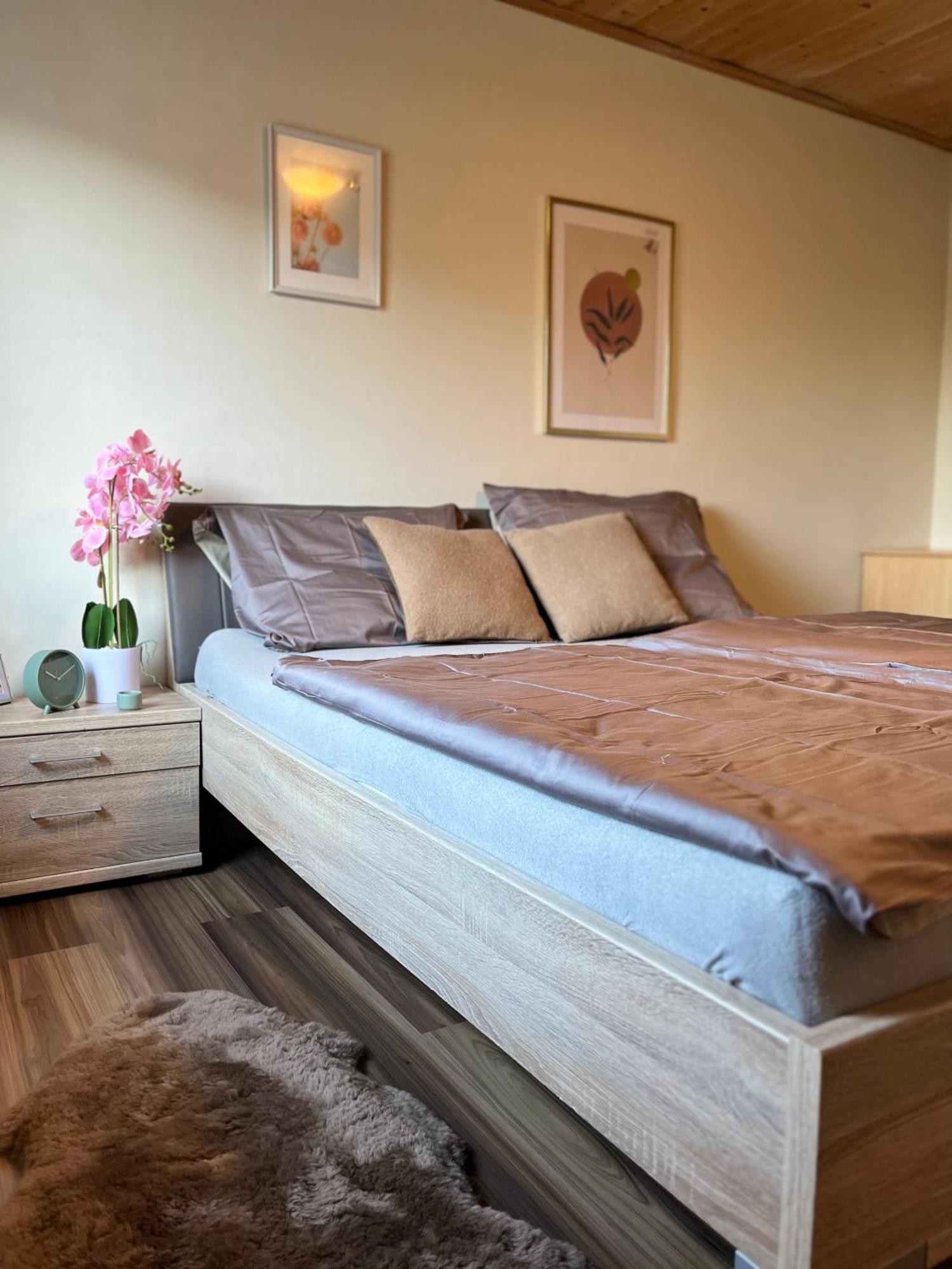 Gemuetliche Wohnung/ Cozy Apartment Niklasdorf Dış mekan fotoğraf