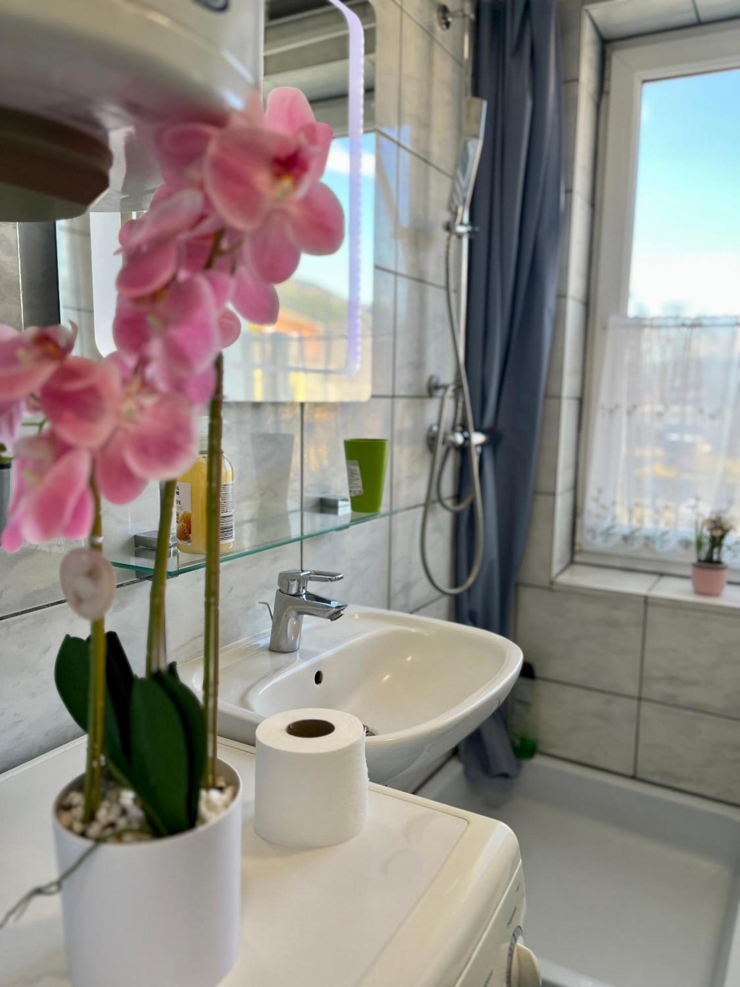 Gemuetliche Wohnung/ Cozy Apartment Niklasdorf Dış mekan fotoğraf